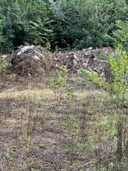 Photo of this report